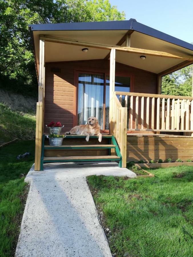Panticosa Lodge 외부 사진